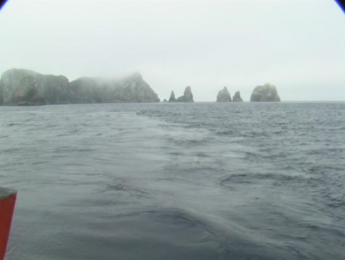 The Snares Islands
